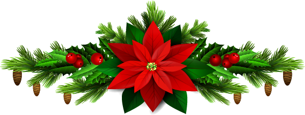 Tannenzweig Christstern